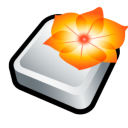 Adobe Illustrator Icon icon
